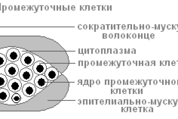 На сайте кракен пропал пользователь