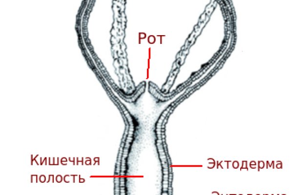 Ссылка кракен не работает