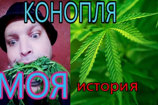 Кракен зеркало onion