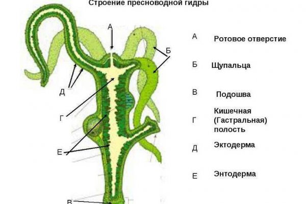 Кракен официальная ссылка