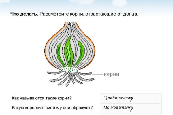 Кракен актуальное зеркало 2kmp